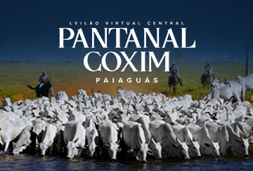LEILÃO VIRTUAL CENTRAL PANTANAL COXIM